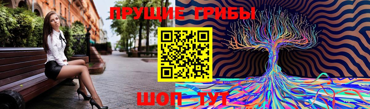 Белгород  Галлюциногенные грибы GOLDEN TEACHER  Галлюциногенные грибы мицелий  Вход с VPN 