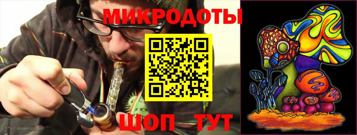 Галлюциногенные грибы Psilocybine cubensis Белгород